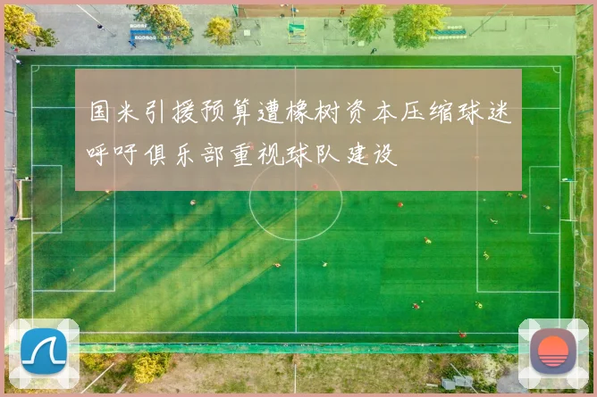 国米引援预算遭橡树资本压缩球迷呼吁俱乐部重视球队建设