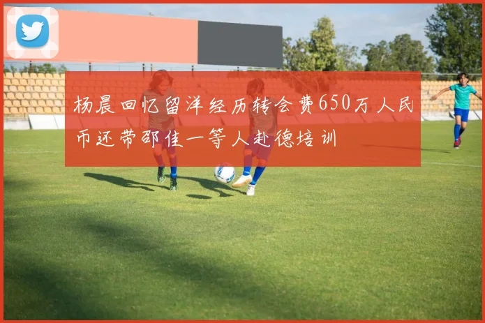 杨晨回忆留洋经历转会费650万人民币还带邵佳一等人赴德培训